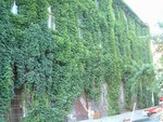 Wall of Stare Miasto�x<BR>�«�����