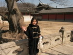 DSCF0224a