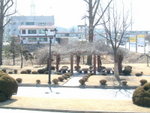 DSCF0253