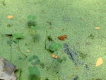 DSCF0361