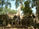 <BR>Ta Prohm is a large Buddist monastery of 5 enclosures