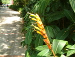 DSCF0076