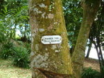 DSCF0078