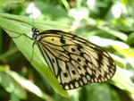 DSCF0085