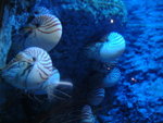 DSCF0136