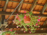 DSCF0153