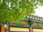 Day 1@ Gyeongju<BR>When October goes.......