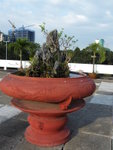 "Roof" of the palace