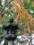 22/12 - Kyoto: 8 saka jinja