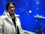 23/12 - Osaka: Mom & Kaiyukan (�C�V��)