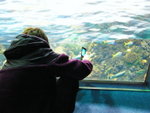 23/12 - Osaka: Great Barrier Reef