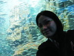 23/12 - Osaka: Kaiyukan & me