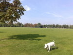 Sunday morning @Regent's Park