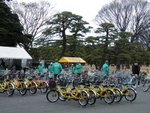 http://cycle-tokyo.cycling.jp/basics.html