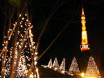 Tokyo tower @ night