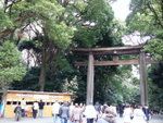 Busy Meiji shrine at coming of age day�x<BR>���H��@���v���c