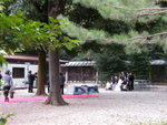 Another corner of Meiji shrine there's a marriage!