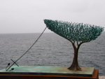 Tree & sail