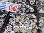 Oysters
