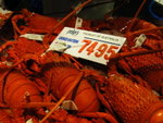 Unreal lobster