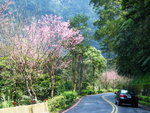 Along the road
