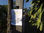 Day 3> another kind of street promotion
