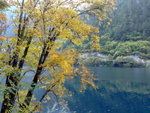 D3@ Jiuzhaigou NP