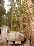 D3@ Jiuzhaigou NP