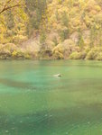 D3@ Jiuzhaigou NP
