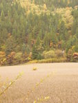 D3@ Jiuzhaigou NP