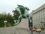 �鶡��dragon
