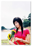 cherry04_b