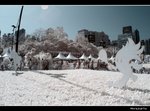 IMG_7376