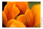_N0W3668