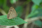 DSC_8034e