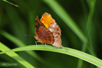 DSC_9214K