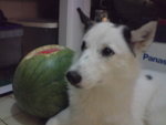 DSC01417