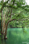 IMG_1096r