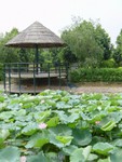 DSC04438