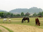 DSC04449