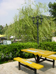 DSC09642