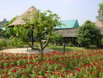 DSC09679