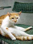 DSC00299