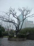 DSC06354