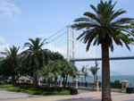 DSC01978