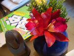 DSC06226 - ��
