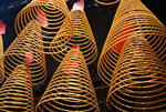


Golden Coils