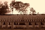 DSC01200_1