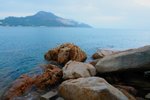 DSC01236_1