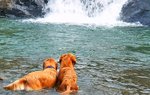 DSC01615_1